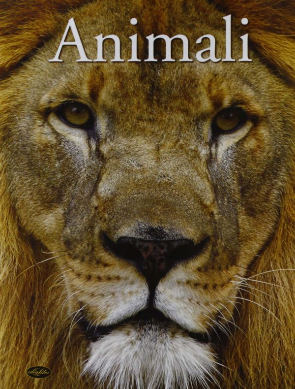 Animali - Idealibri 2013 - A cura di David Alderton - Perugia Fumetti - Copertina Animali - Idealibri 2013 - A cura di David Alderton - Perugia Fumetti - Copertina