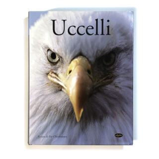 Uccelli - Idealibri 2013 - A cura di Per Christiansen - Perugia Fumetti