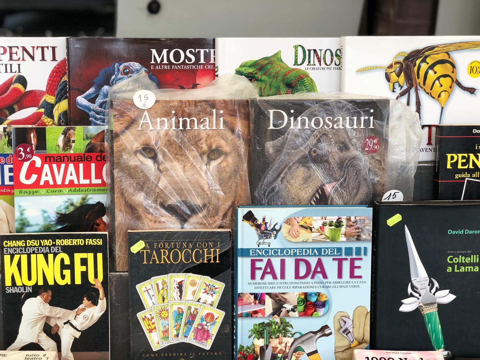 Perugia Fumetti - Mercato Pian Di Massiano - Libri e fumetti usati - 06